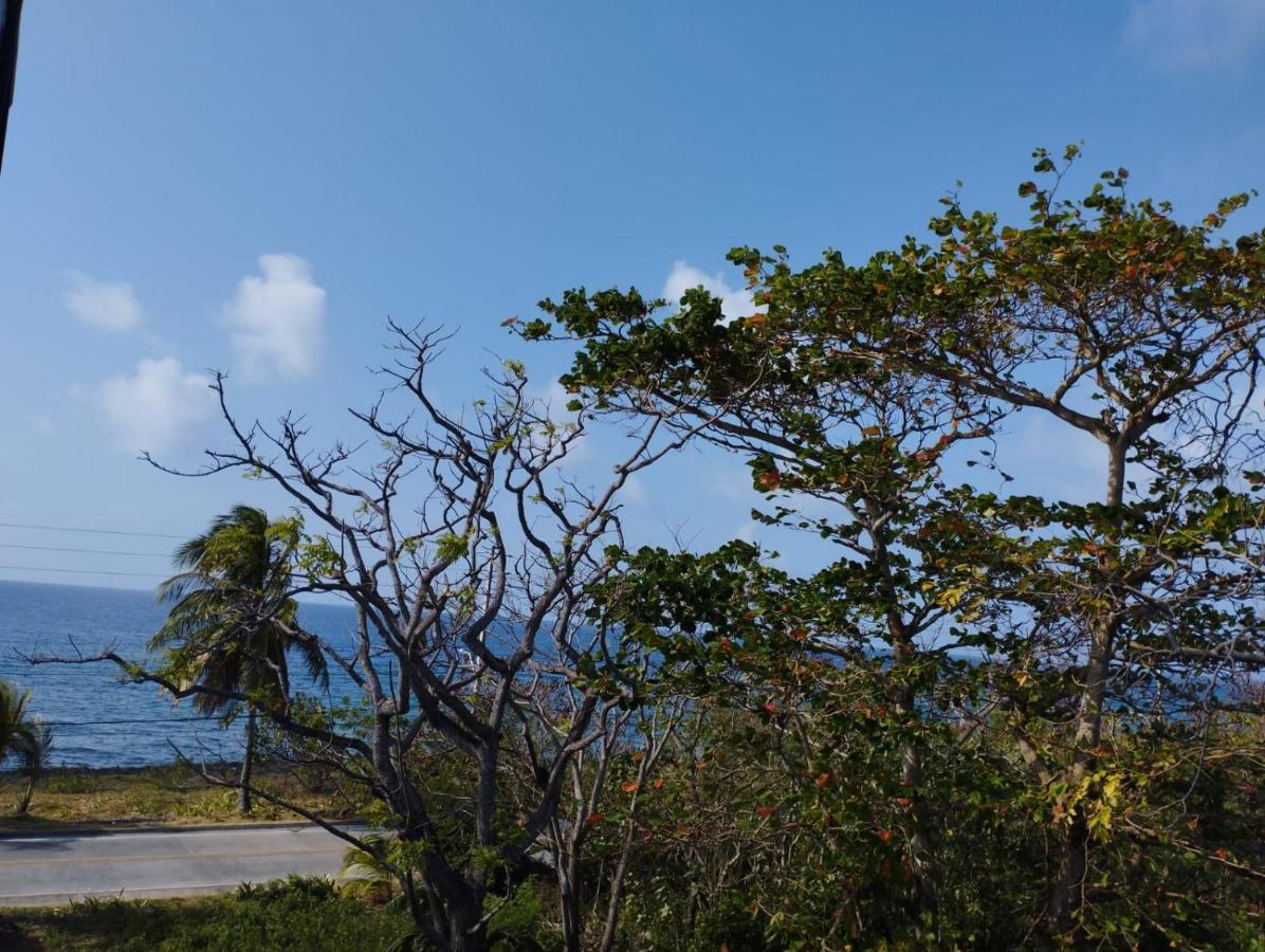 Sunset Paradise San Andrés Екстериор снимка